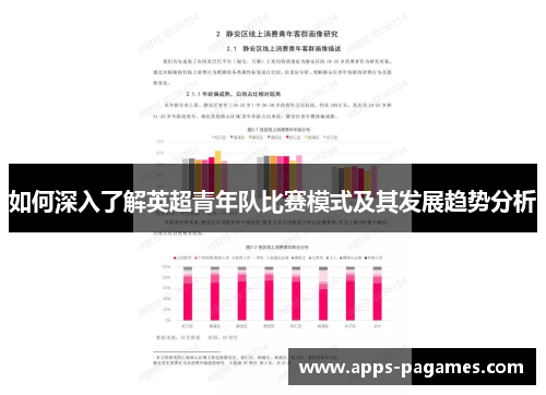 如何深入了解英超青年队比赛模式及其发展趋势分析