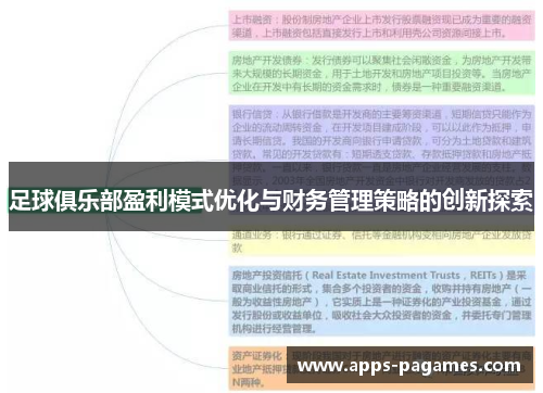 足球俱乐部盈利模式优化与财务管理策略的创新探索