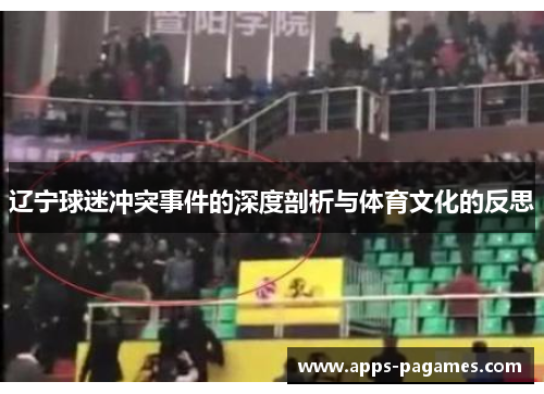 辽宁球迷冲突事件的深度剖析与体育文化的反思