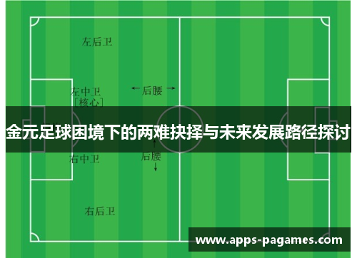 金元足球困境下的两难抉择与未来发展路径探讨 金元足球困境下的两难抉择与未来发展路径探讨
