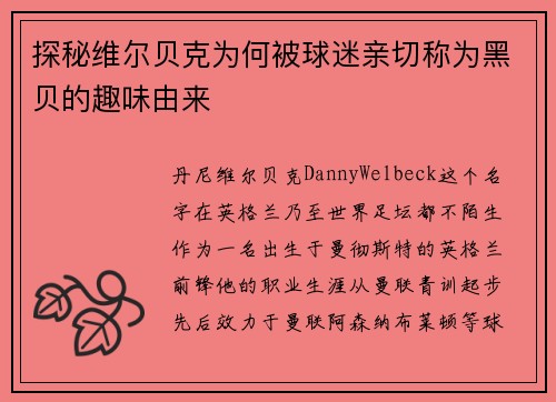 探秘维尔贝克为何被球迷亲切称为黑贝的趣味由来 探秘维尔贝克为何被球迷亲切称为黑贝的趣味由来