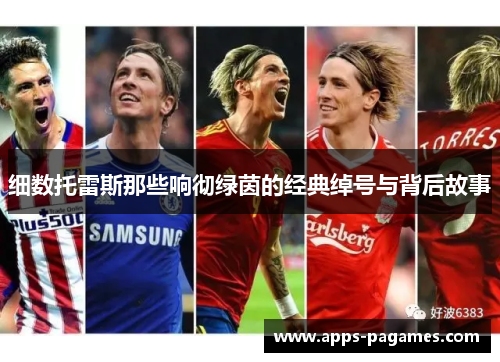 细数托雷斯那些响彻绿茵的经典绰号与背后故事