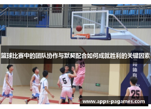 篮球比赛中的团队协作与默契配合如何成就胜利的关键因素