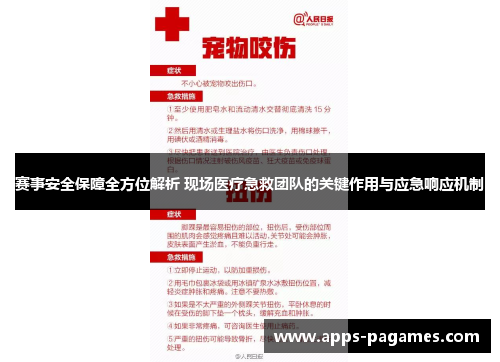 赛事安全保障全方位解析 现场医疗急救团队的关键作用与应急响应机制