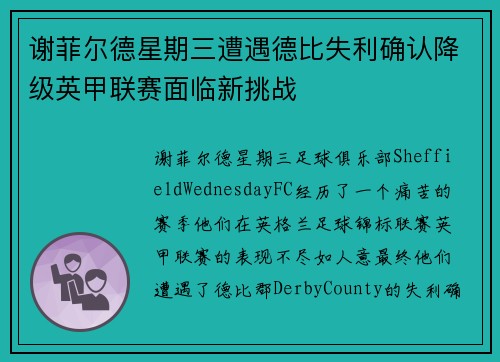 谢菲尔德星期三遭遇德比失利确认降级英甲联赛面临新挑战