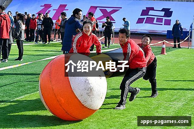 介绍PA电子